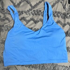 Aerie Blue Crop Top